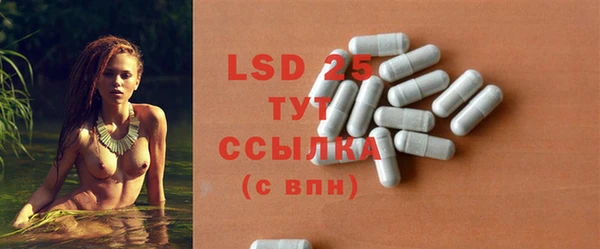 PSILOCYBIN Абаза