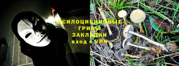 PSILOCYBIN Абаза