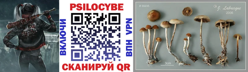 Псилоцибиновые грибы MAGIC MUSHROOMS  закладка  Княгинино 